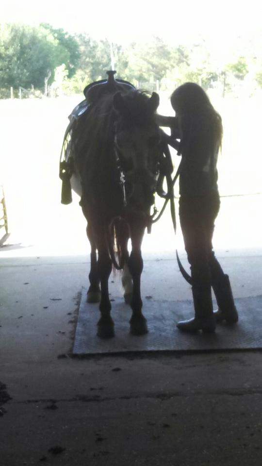 horse and young rider tacking up