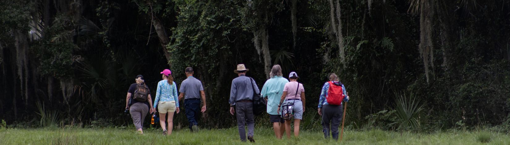 Participants on a nature walk during a Master Naturalist tour.