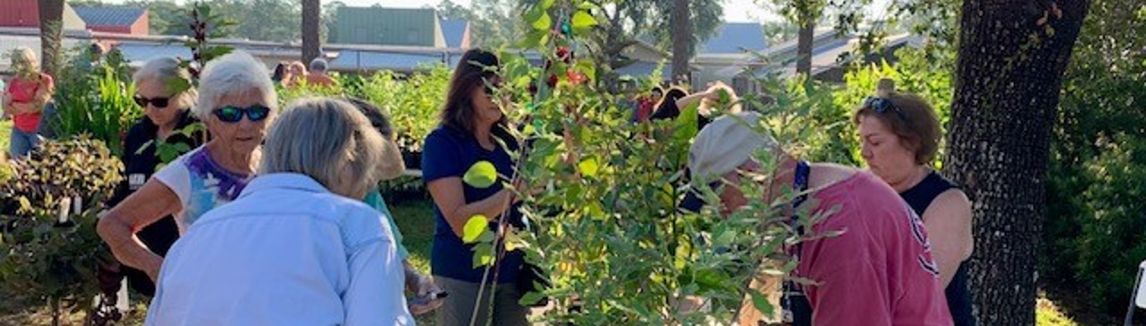 Master Gardener Volunteer Plant Sale