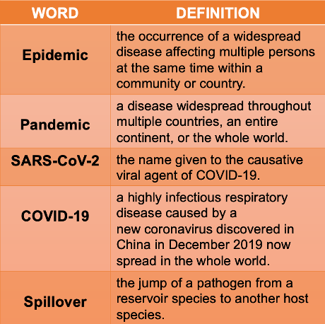 The Bat, The Pangolin And The City: A Tale Of COVID-19 - UF/IFAS One Health