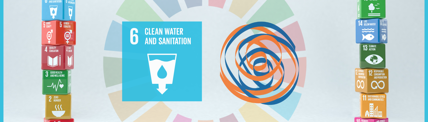 Sustainable Development Goals and One Health: SDG 6