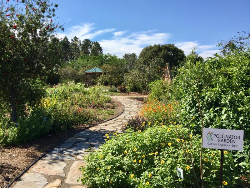 Pollinator Garden Entrance Ufifas Extension Orange County 