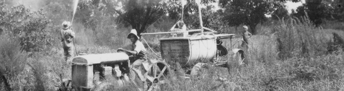 Old black and white photo of spraying crops