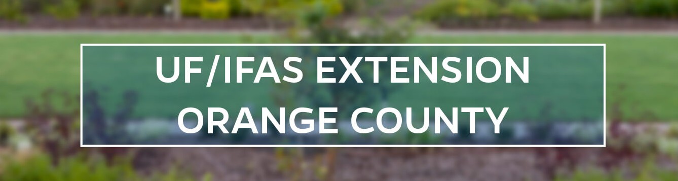 Ufifas Extension Orange County “safely Resuming Operations” Ufifas Extension Orange County 