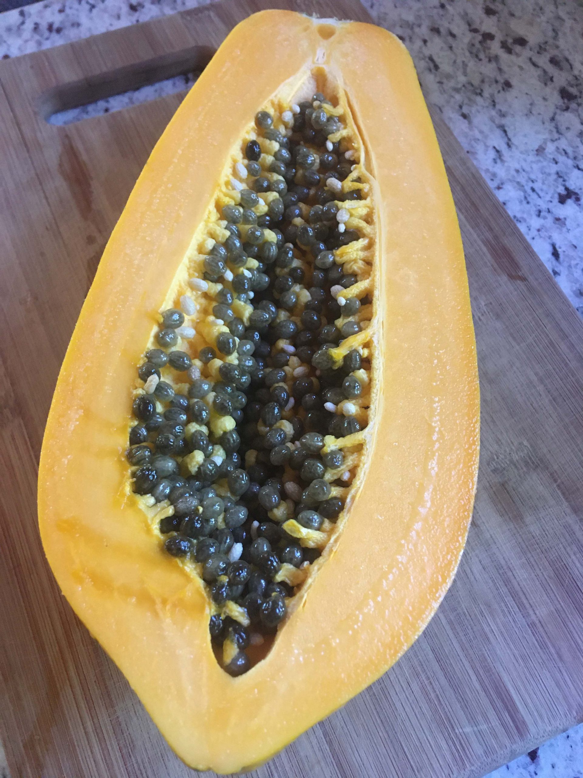 Papaya seed saving
