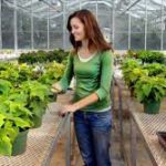 woman looking at plants in a greenhouse