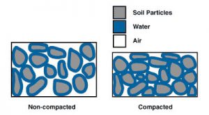 Compact Soil Can Spoil a Pretty Landscape Plan - UF/IFAS Extension ...