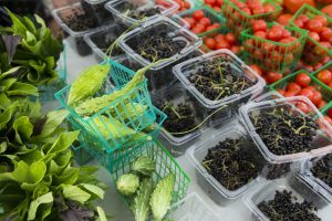 florida local grown berries, lettuce and tomatos
