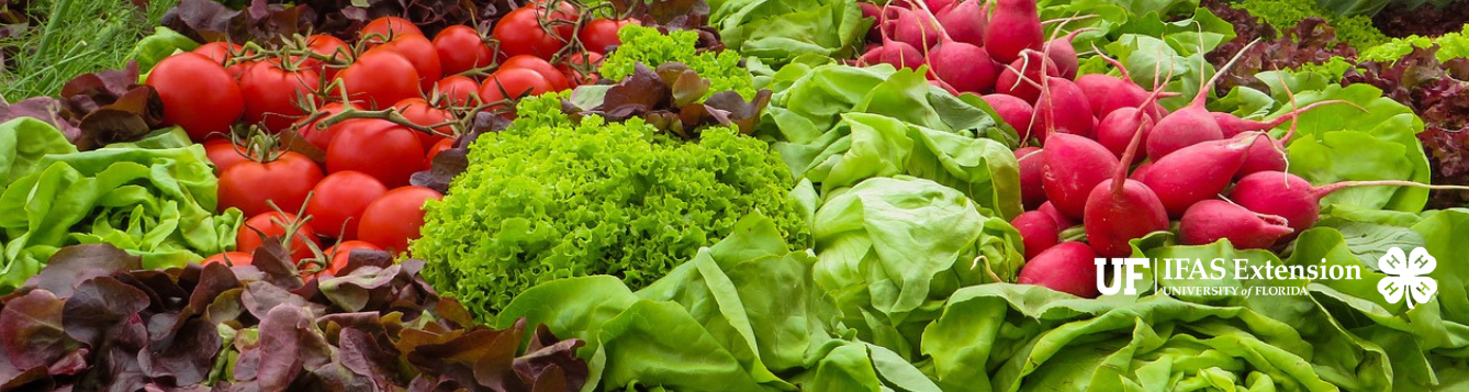 Colorful garden vegetables