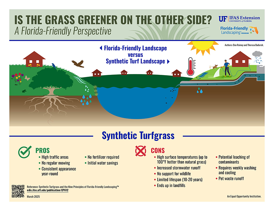 Text: Is the grass greener on the other side? A Florida-Friendly perspective Authors: Don Rainey and Theresa Badurek A landscape using synthetic turf as compared to a Florida-Friendly landscape using natural turfgrass. Pros Good for high-traffic areas No regular mowing Consistent appearance year-round No fertilizer required Initial water savings Cons High surfaces temperatures — up to 100 degrees hotter than natural grass Increased stormwater runoff No support for wildlife Limited lifespan (10-20 years) Ends up in landfills Potential leaching of contaminants Requires weekly washing and cooling Pet waste runoff
