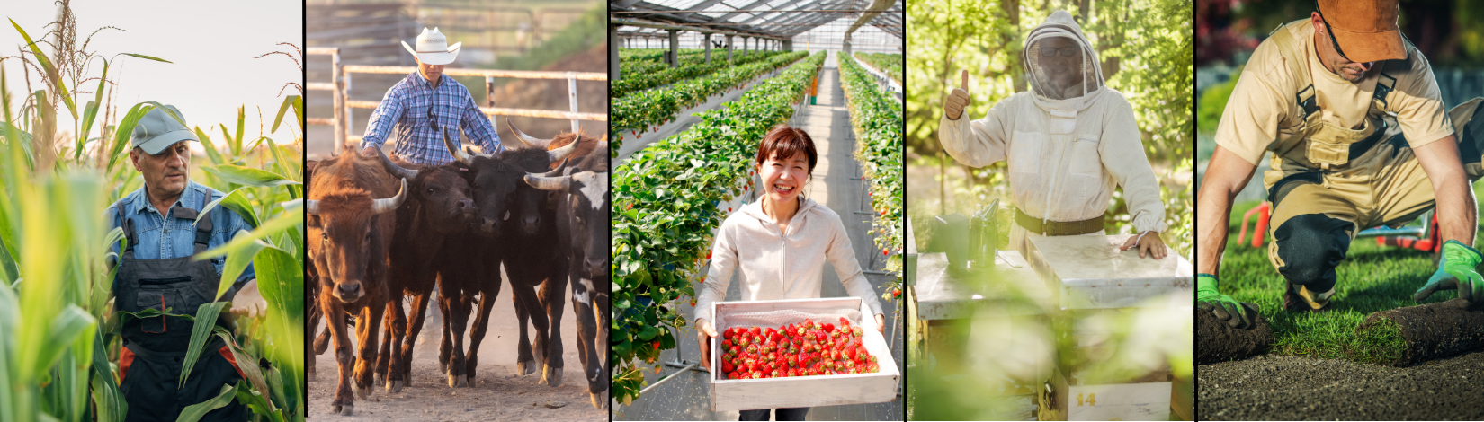 five frames of photos featuring a farmer, rancher, grower, beekeeper and landscaper