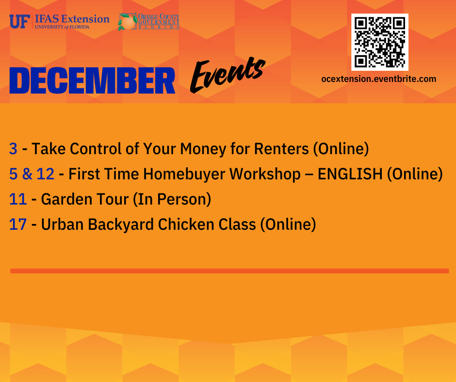 bright orange graphic background listing December events and classes