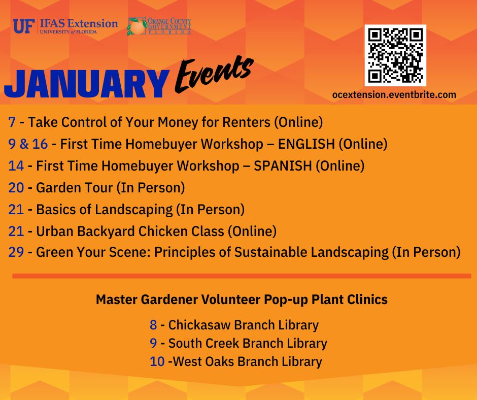 january classes listed on a bright orange background