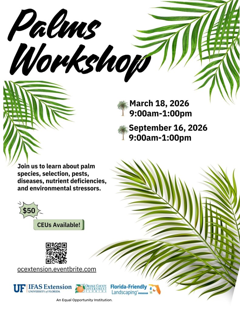 Palms Workshop flyer 2026