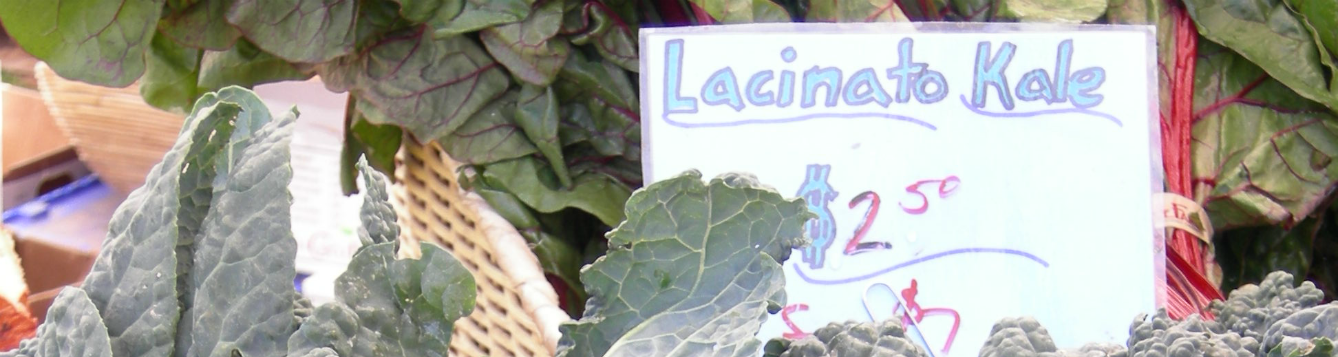lacinato kale