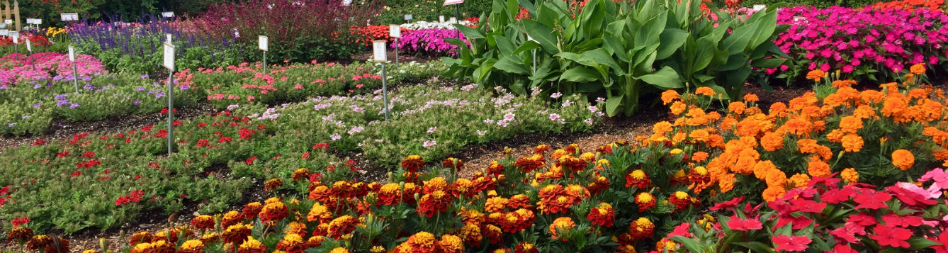 trial garden flowers