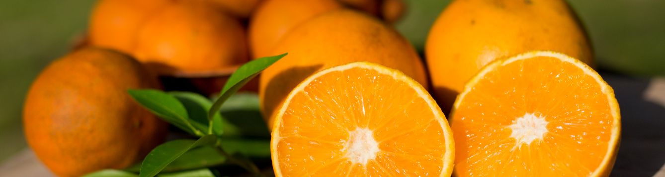 oranges whole and cut