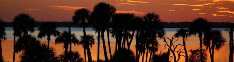 Florida sunset silhouette