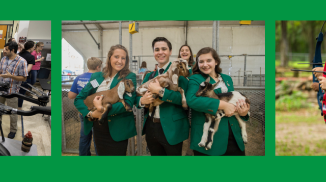 three photos of featuring kids from 4-H clubs. the first one is a group of kids, an adult and a drone. the second is of three youth in green 4-h jackets, each holding a goat. The third image is of a group of kids shooting with bows and arrows.