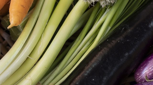 Online Resources for Community Gardeners