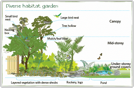 Creating A Backyard Habitat For Birds - UF/IFAS Extension Osceola County