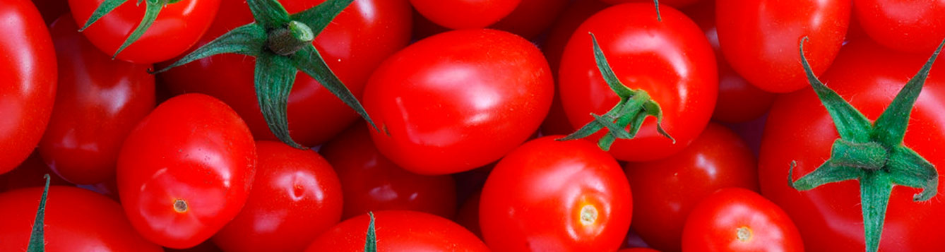 Red tomatoes
