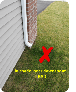 SMS - bad location - wet & shady