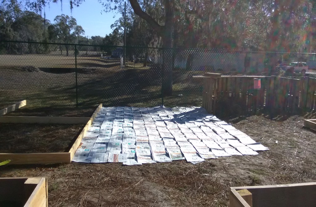Sheet Mulching for Weed Prevention UF/IFAS Extension Pasco County