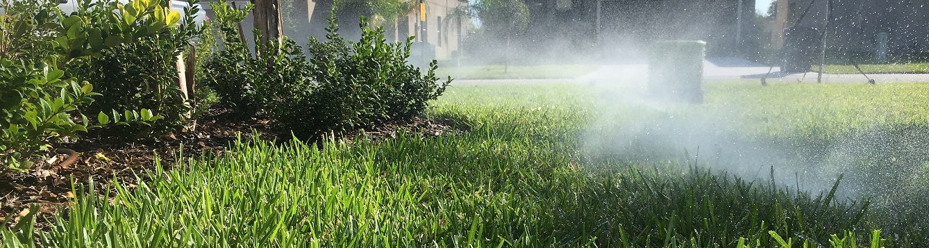 Sprinklers watering grass, misting due to high pressure