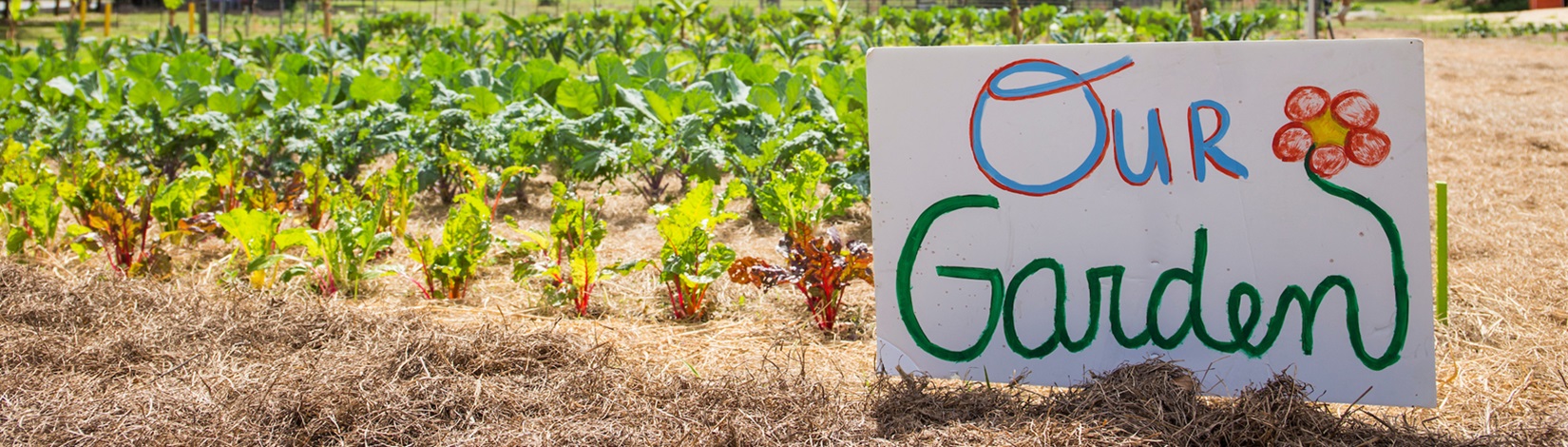 The Value Of Community Gardens: Mental Health Impact - UF/IFAS ...