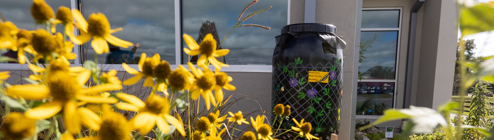 Rain barrel at the teaching demonstration gardens at the Alachua County Extension Office.