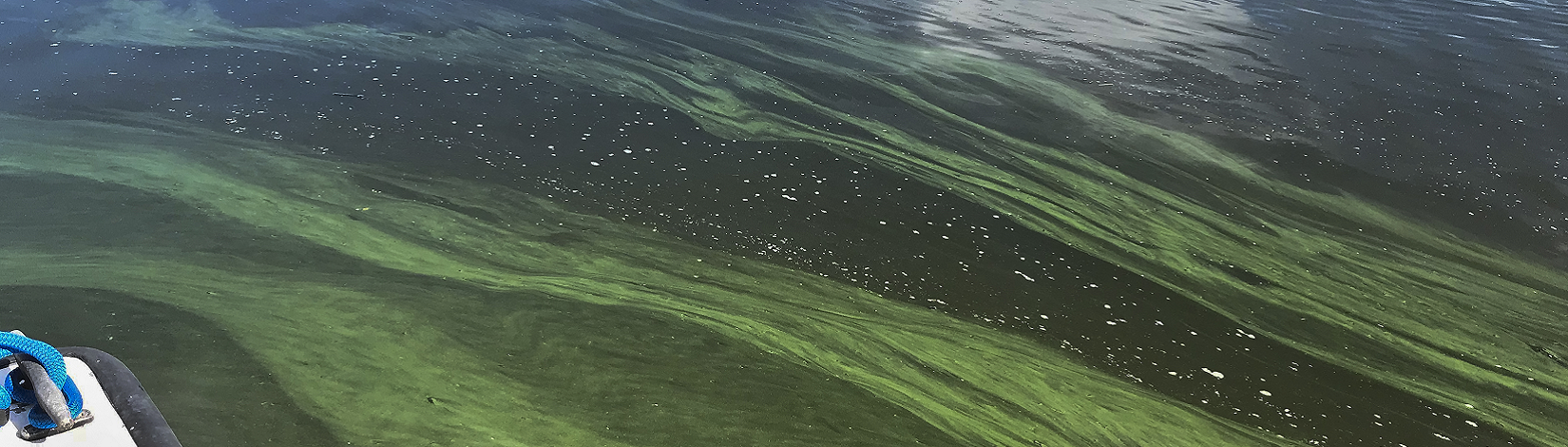 Hurricane Hazards: Red Tide - UF/IFAS Extension Pasco County