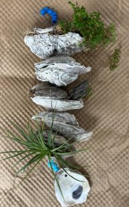 a plant vog with three plants added between the shells. 