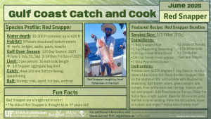 Red Snapper fact sheet summarizing information in this article including a species profile, fun facts, and the recipe 