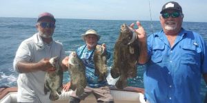 three men on a boat holding up 4 tripletail caught offshore. 