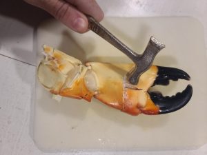 a hand using a small hammer to crack the out shell of the claw laying on a table 