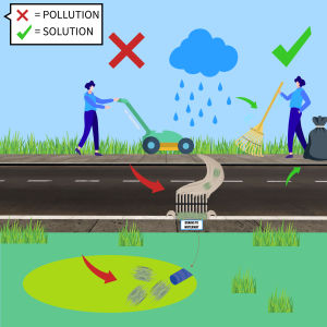 A cartoon image showing a person cutting lawn with clippings going into the storm drain as a pollution source shown with a red X. Another person is shown picking up plant debris as a solution shown by a green check mark. 