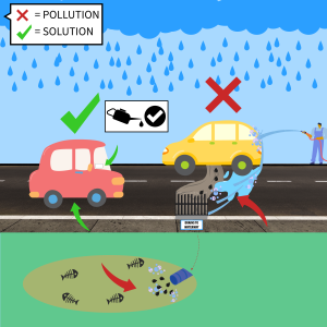 A cartoon image showing a person washing a car with soap runoff going into the storm drain as a pollution source shown with a red X. Another image shows a car being maintained for leaks as a solution shown by a green check mark. 