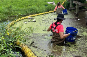 two women in waders standing in water cleaning trash out of canal. Yellow floating water boom stopped trash. 