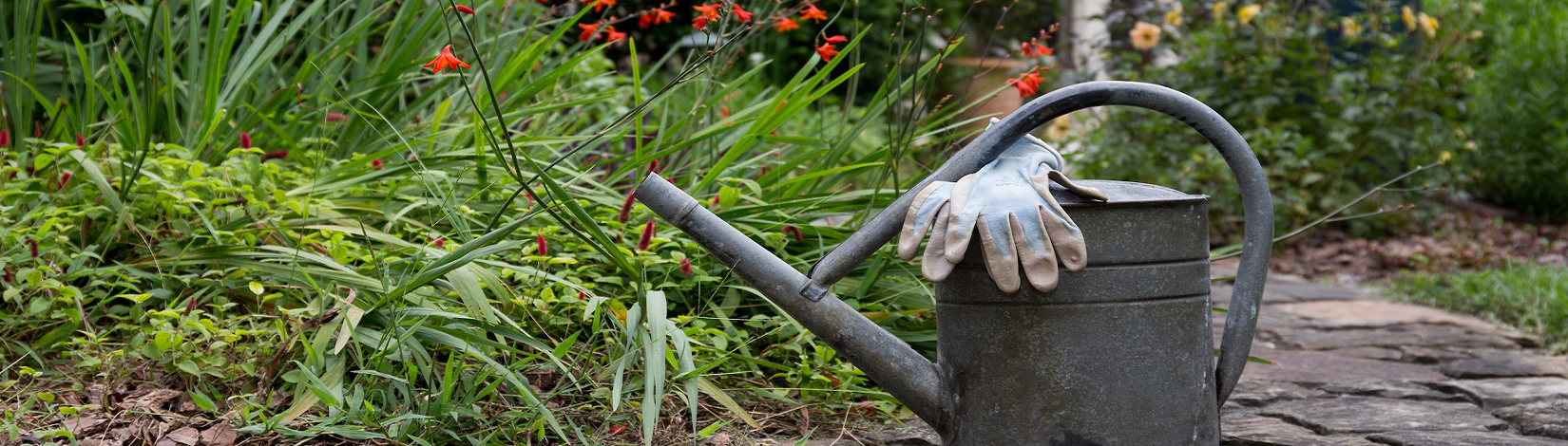 photo of a blooming garden with a watering can and gloves in the foreground