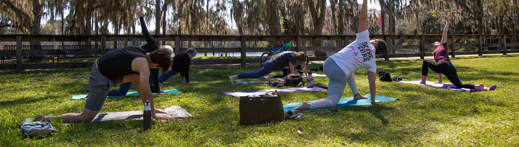 People doing yoga at Field and Fork gardens.