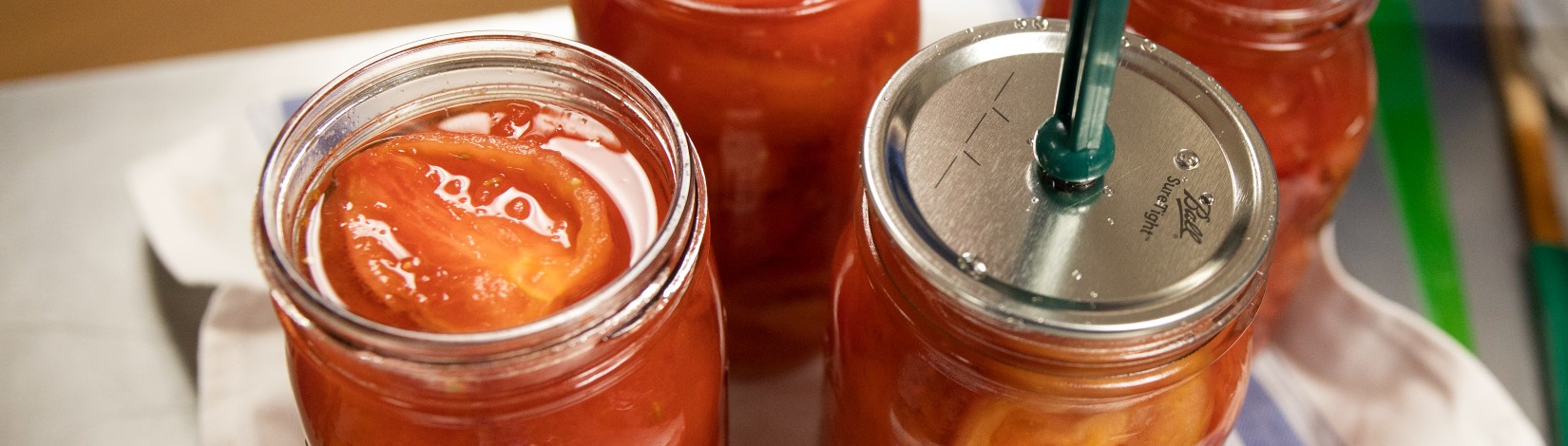 Placing lids on prepared mason jars of tomatoes for home canning.