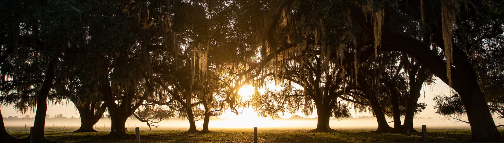 Sunrise at the Range Cattle Research and Education Center (RCREC).