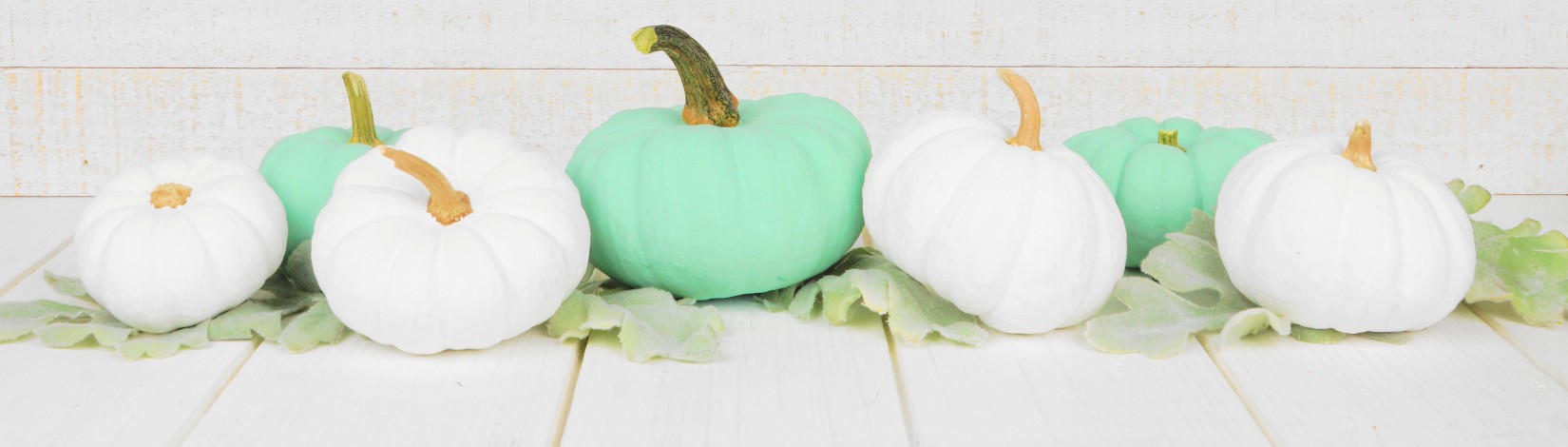 Autumn border arrangement of white and teal pumpkins and leaves with a white wood background.