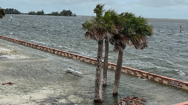 Protected: Stormwater Story Stroll