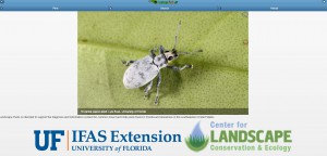 Screen Image for the Landscape Pests Mobile Website