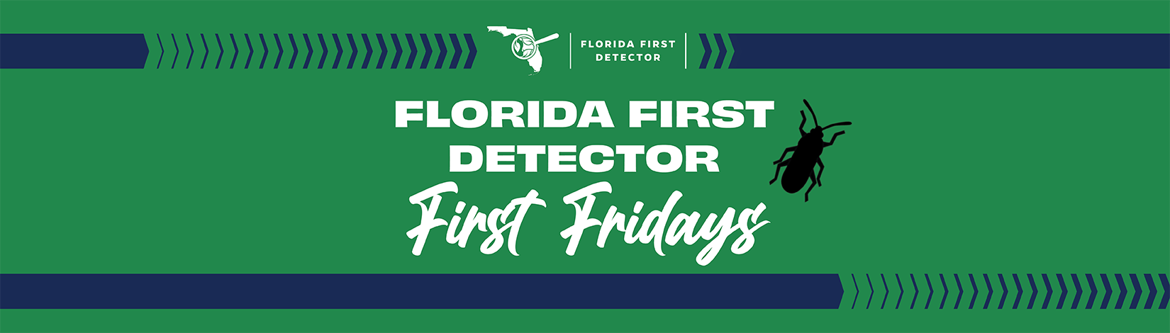 September 2024 First Friday with Florida First Detector - UF/IFAS Pest ...