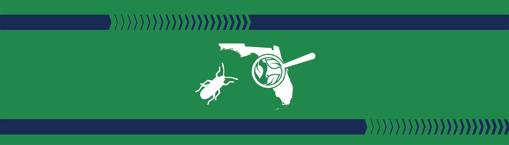 December 2025 First Friday with Florida First Detector