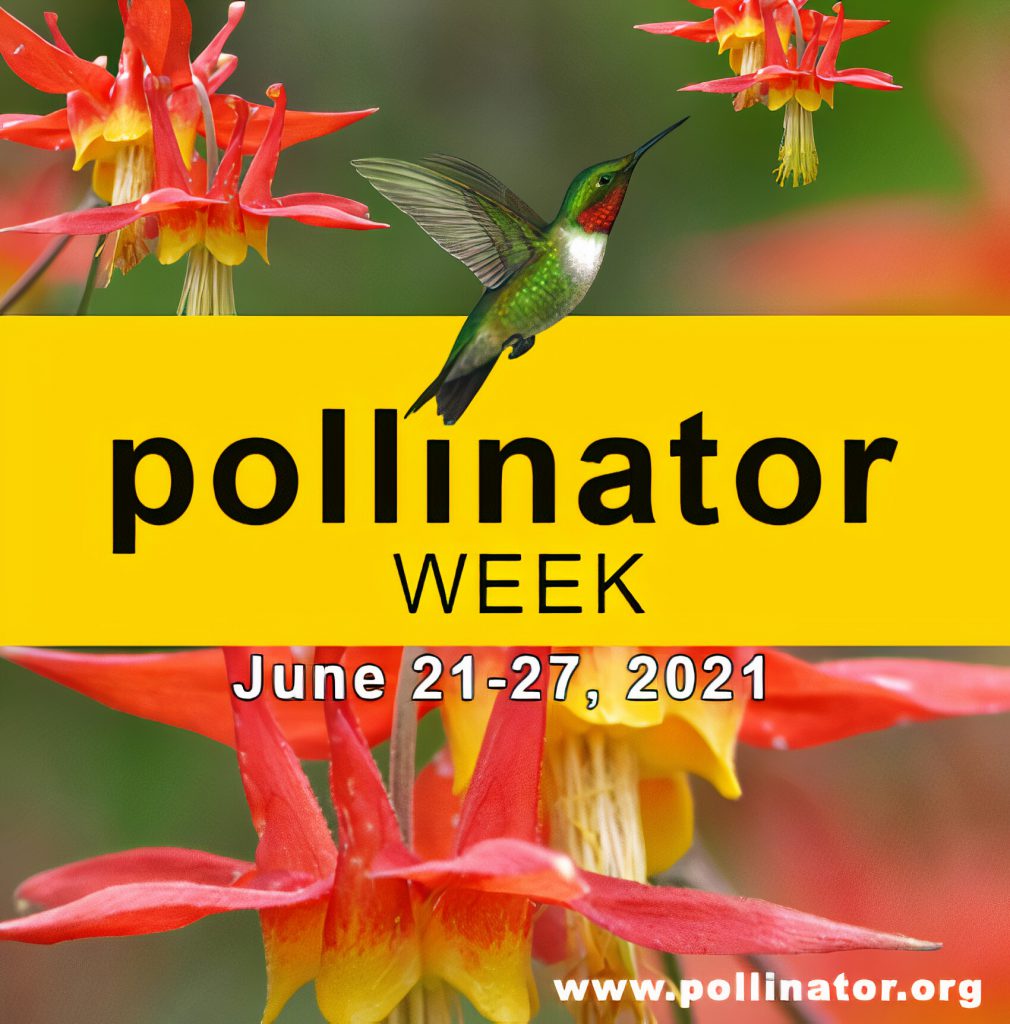 pollinator week photo - UF/IFAS Pesticide Information