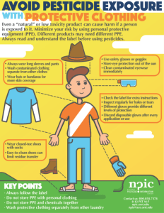 A cartoon person and different PPE items described in a poster format